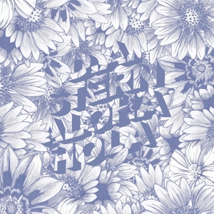 Aloha Hola by Stern, D.A.