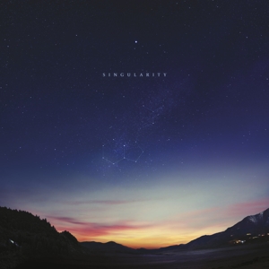 Singularity by Hopkins, Jon