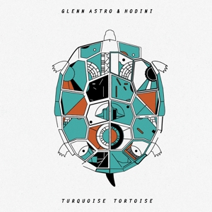 Turquoise Tortoise by Astro, Glenn & Hodini
