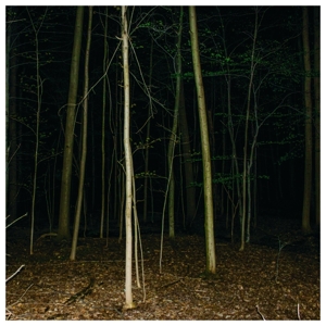 Fixed Rope Ii by Express Rising