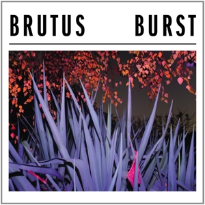 Burst by Brutus