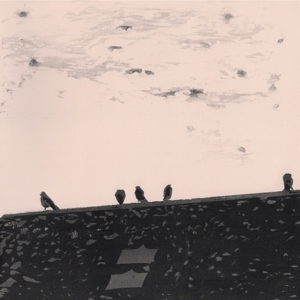 Arrhythmia by Staples, Stuart A.