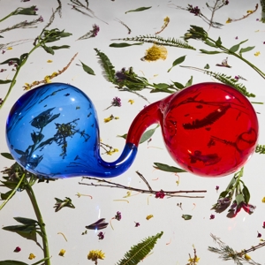 Lamp Lit Prose by Dirty Projectors