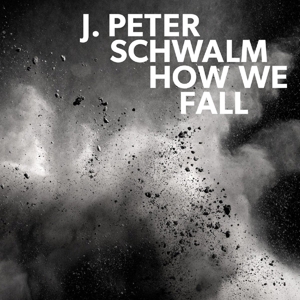 How We Fall by Schwalm, J. Peter