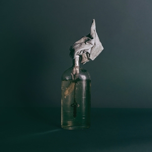 Liars by Hidden Hospitals