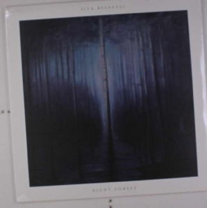 Night Forest by Beshevli, Ilya