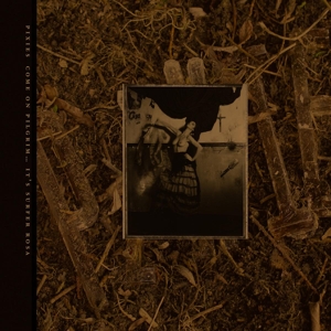 C'mon Pilgrim...It's Surfer Rosa by Pixies