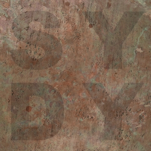 Bronze by Shiny Darkly