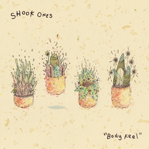 Body Feel by Shook Ones