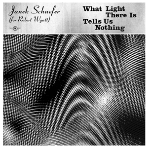 What Light There is Tells Us Nothing by Schaefer, Janek