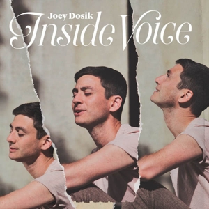 Inside Voice by Dosik, Joey