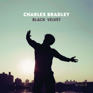Black Velvet by Bradley, Charles