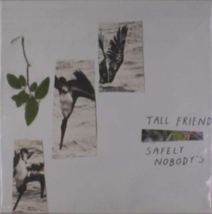 Safely Nobody's by Tall Friend