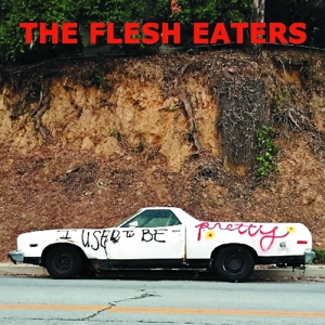I Used To Be Pretty by Flesh Eaters