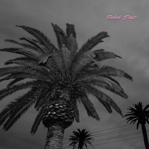 Faded Days by Actual Wolf