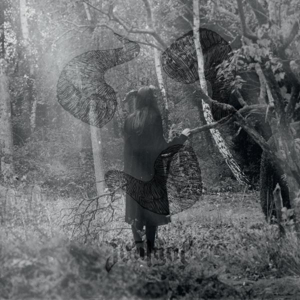 Not Ever by Soul Grip