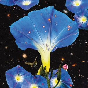 Nighttime Birds and Morning Stars by Louise, Sarah