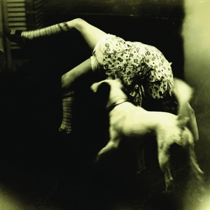Good Dog Bad Dog: the Home Recordings by Over the Rhine