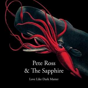 Long Live Dark Matter/... by Ross, Pete -& the ...