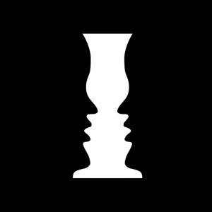 Sensory Illusions by Sensory Illusions