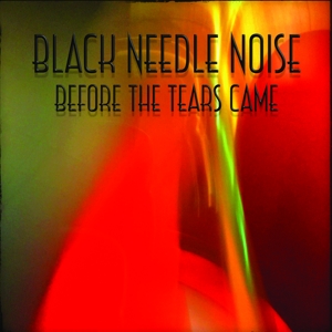 Before the Tears Came by Black Needle Noise