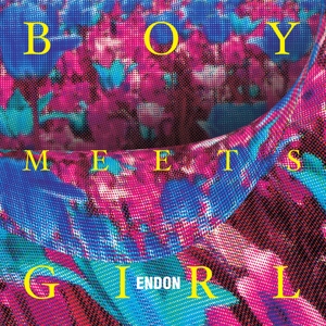 Boy Meets Girl by Endon