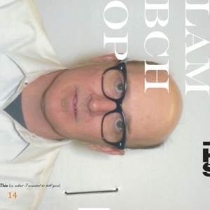This (is What I Wanted To Tell You) by Lambchop