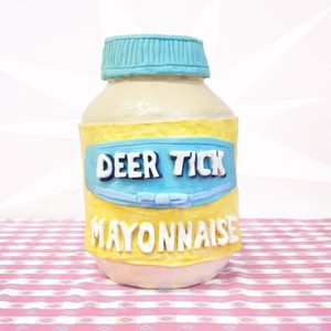 Mayonnaise by Deer Tick