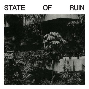 State of Ruin by Silk Road Assassins