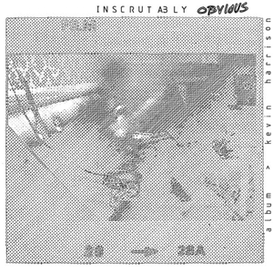 Inscrutably Obvious by Harrison, Kevin