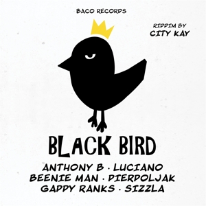 Black Bird Riddim By City Kay by V/A