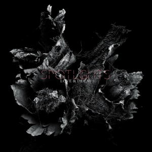 Love & Decay by Spotlights