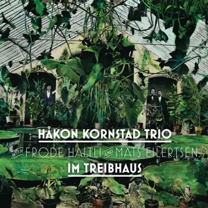 Im Treibhaus by Kornstad, Hakon