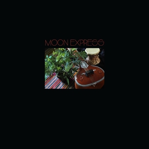 Prophetic Spirit by Moon Express