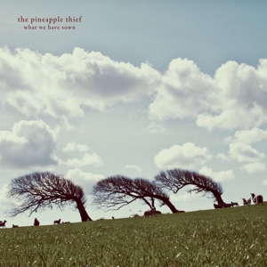 What We Have Sown by Pineapple Thief