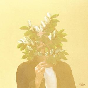 French Kiwi Juice by Fkj