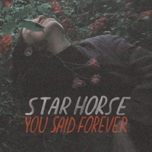 You Said Forever by Star Horse