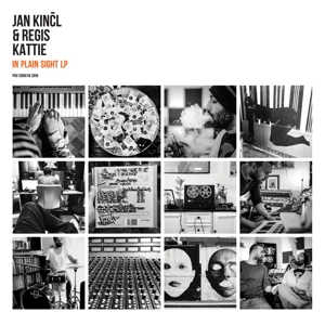 In Plain Sight by Kincl, Jan & Regis...