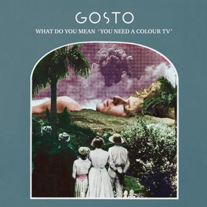What Do You Mean 'You Need a Colour Tv' by Gosto