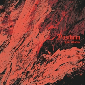 Like Wildfire by Posthum
