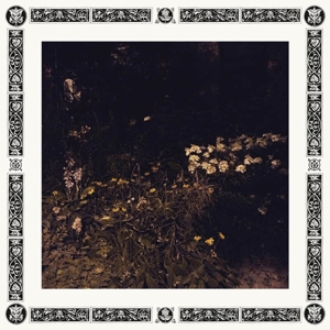 Pale Bloom by Davachi, Sarah