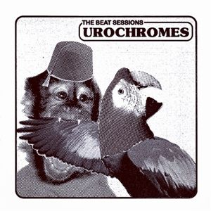 Beat Sessions by Urochromes