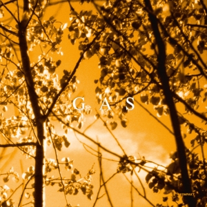 Konigsforst by Gas