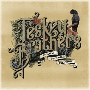 Run Home Slow by Teskey Brothers