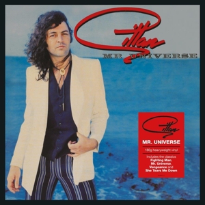 Mr. Universe by Gillan