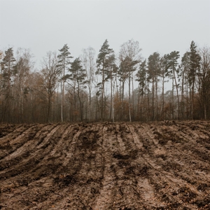 Alles Und Nichts by Kapitain Kaizen