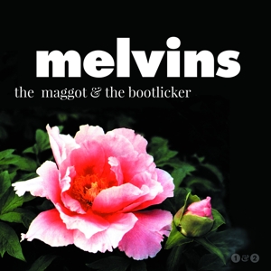 Maggot & the Bootlicker by Melvins