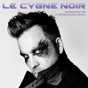 Shadow of a Wrecking Ball by Le Cygne Noir