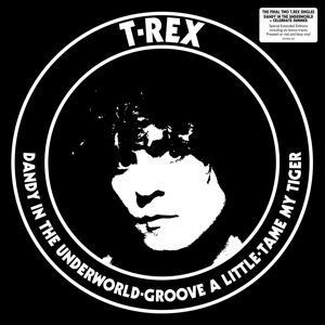 Dandy In the Underworld by T. Rex