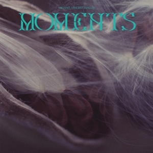 Moments by Waller, Michael Vincent